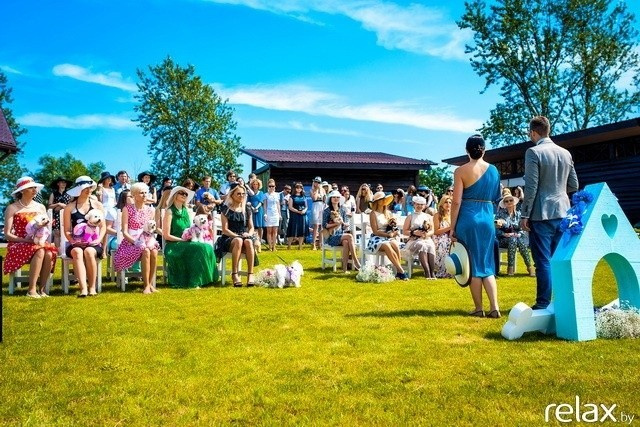 5 Лет журналу Pingouin, фото № 74