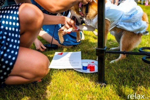 5 Лет журналу Pingouin, фото № 147