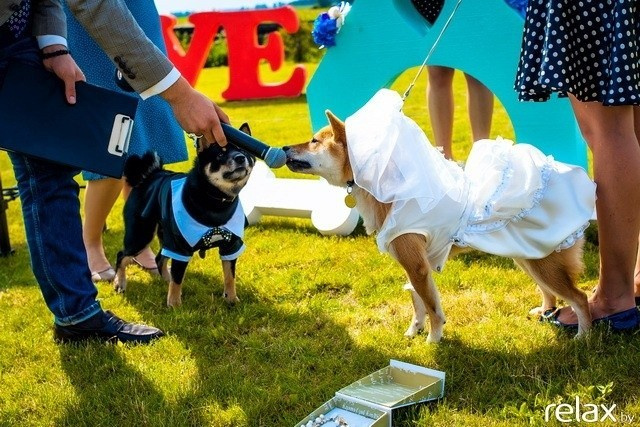 5 Лет журналу Pingouin, фото № 136