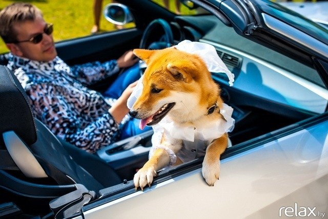 5 Лет журналу Pingouin, фото № 101