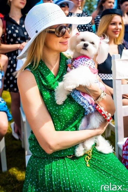 5 Лет журналу Pingouin, фото № 125