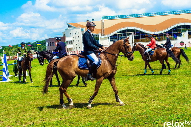 Международные соревнования по троеборью, фото № 13