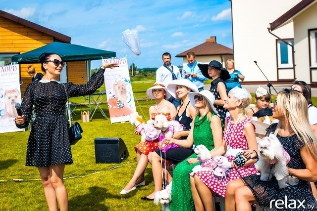 5 Лет журналу Pingouin, фото № 154