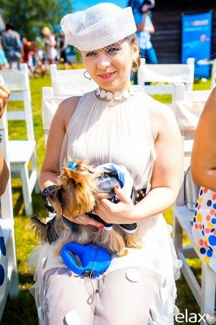 5 Лет журналу Pingouin, фото № 35