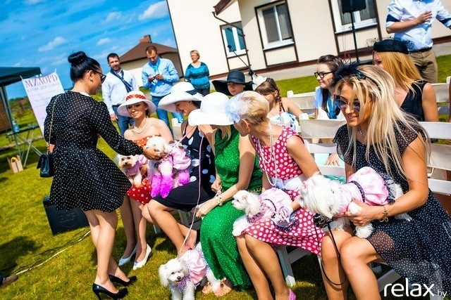 5 Лет журналу Pingouin, фото № 155