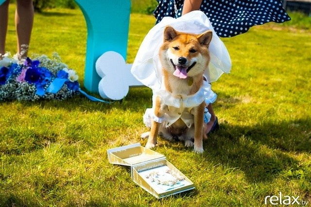 5 Лет журналу Pingouin, фото № 119