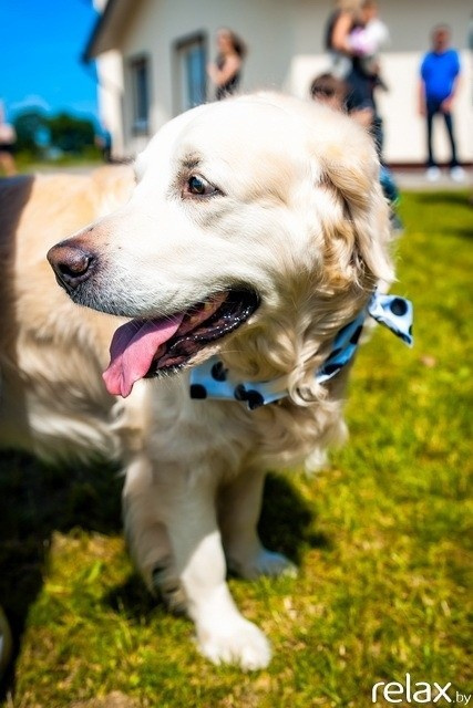 5 Лет журналу Pingouin, фото № 46