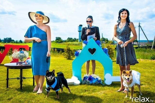 5 Лет журналу Pingouin, фото № 106