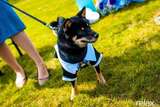 5 Лет журналу Pingouin, фото № 120