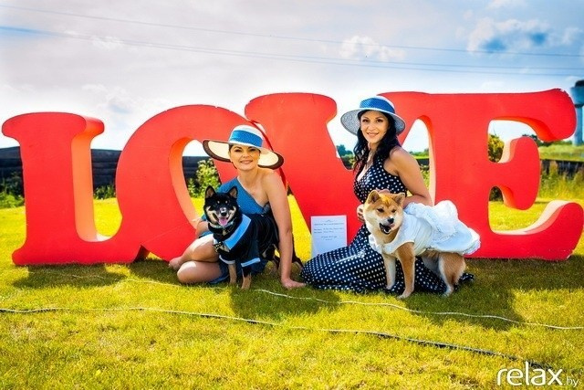 5 Лет журналу Pingouin, фото № 159