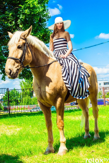 Международные соревнования по троеборью, фото № 55