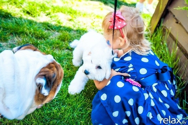 5 Лет журналу Pingouin, фото № 31