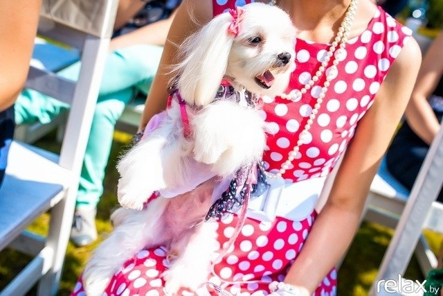 5 Лет журналу Pingouin, фото № 41