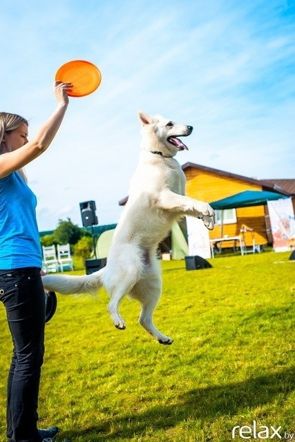 5 Лет журналу Pingouin, фото № 229
