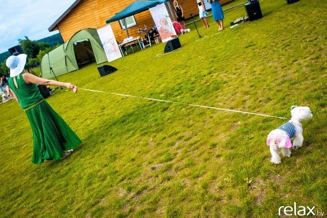 5 Лет журналу Pingouin, фото № 187