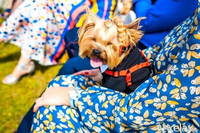 5 Лет журналу Pingouin, фото № 82