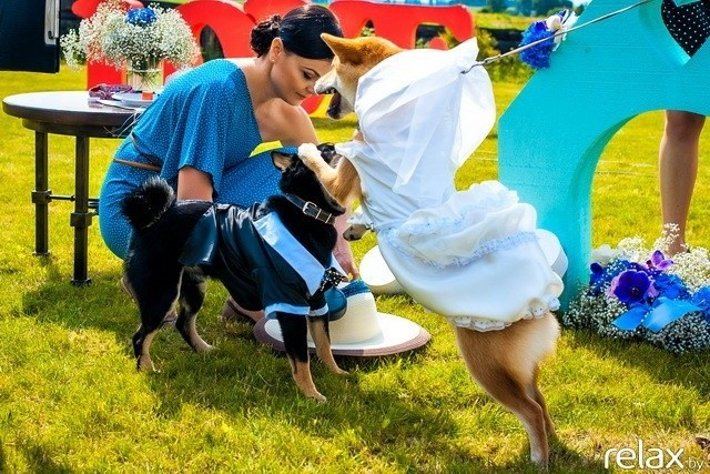 5 Лет журналу Pingouin, фото № 134