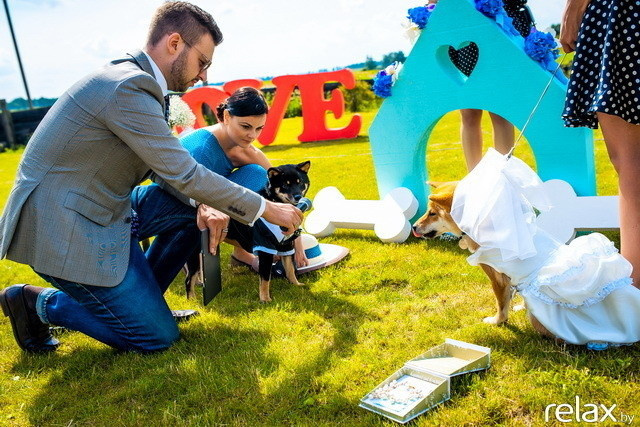 5 Лет журналу Pingouin, фото № 135