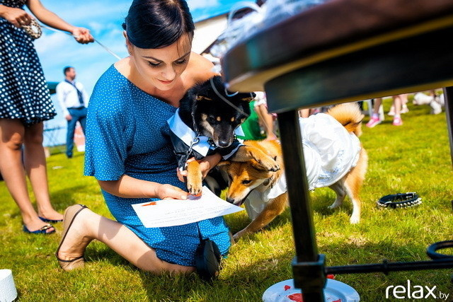 5 Лет журналу Pingouin, фото № 148