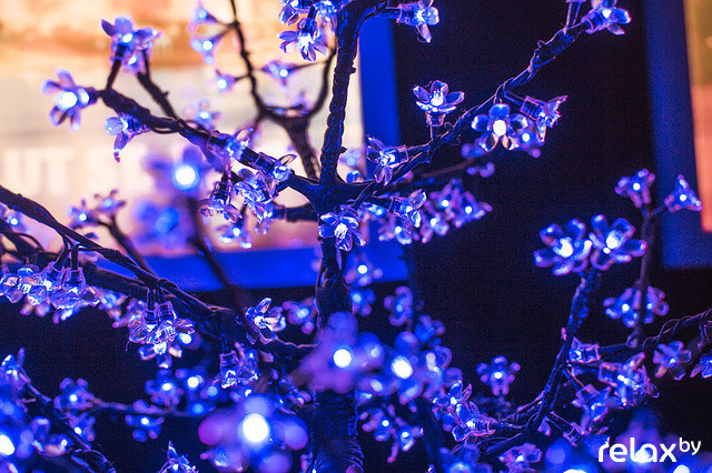 Лучшие фото за март, фото № 24