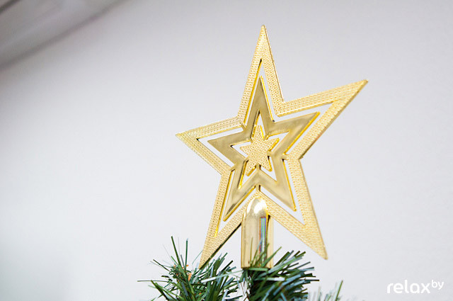 Бизнес школа «Расти», фото № 8