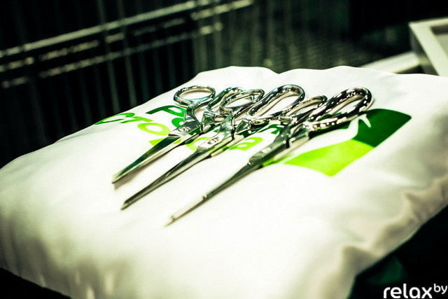 «Родная сторона» открытие, фото № 10