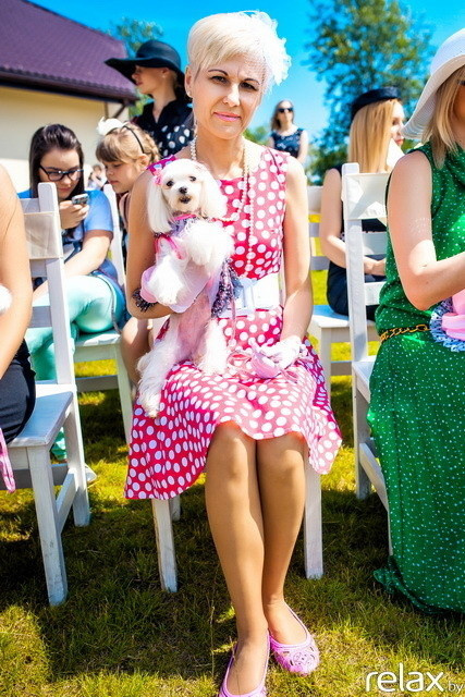 5 Лет журналу Pingouin, фото № 40