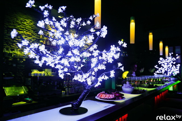 The Black Door - День Рождения Ирины Кабасакал, фото № 79