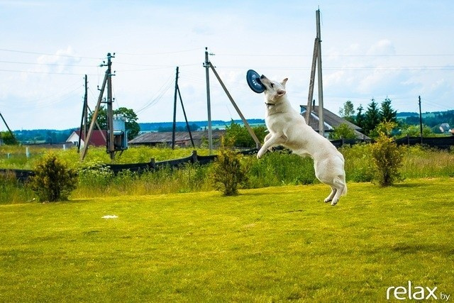 5 Лет журналу Pingouin, фото № 201