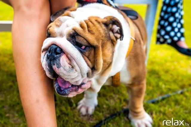 5 Лет журналу Pingouin, фото № 171