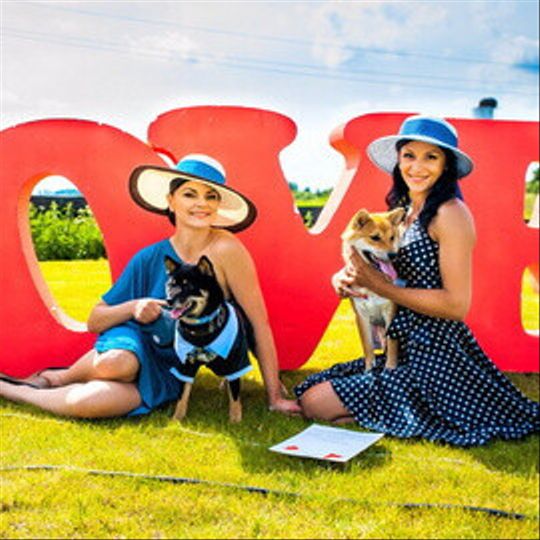 5 Лет журналу Pingouin