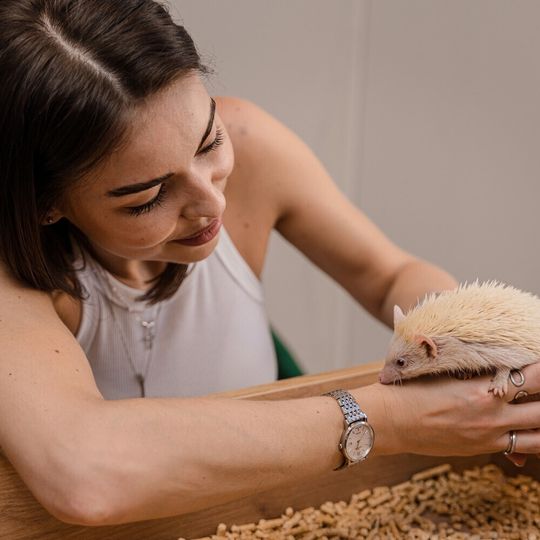 Открытие антикафе «Ёж кафе»