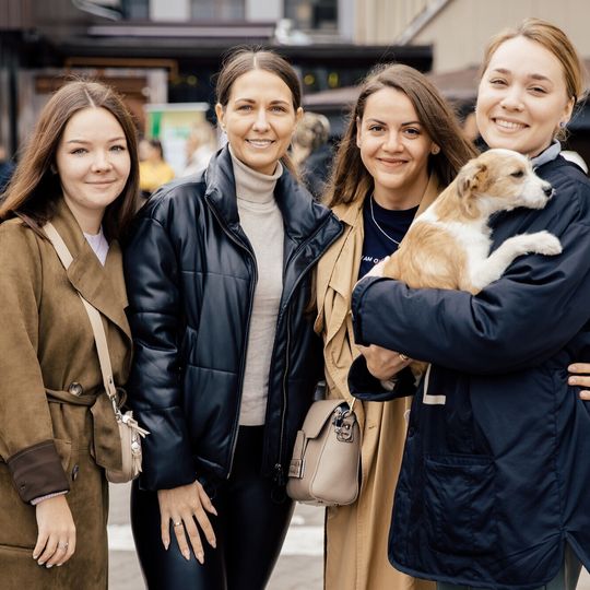 Благотворительная акция пушистого добра