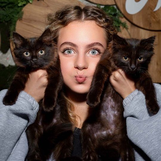 Акция пушистого добра