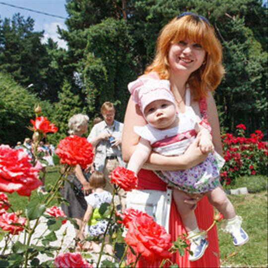 Фестиваль роз