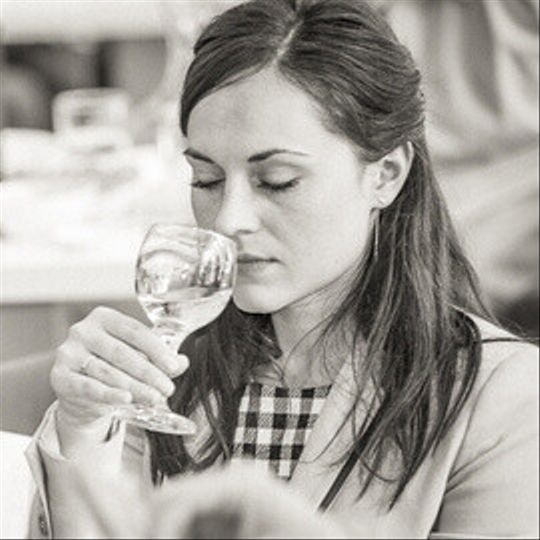 Дегустация чилийских вин