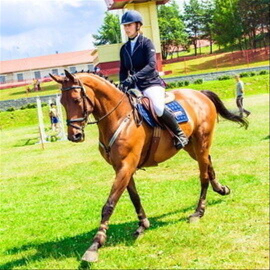 Международные соревнования по троеборью