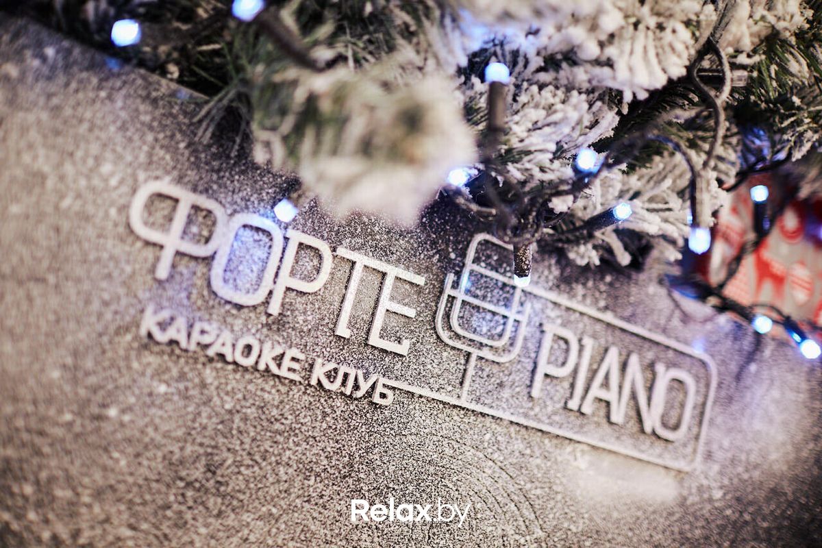 Новый год Караоке-клуб «ФортеPiano (ФортеПиано)» - фото 7449263