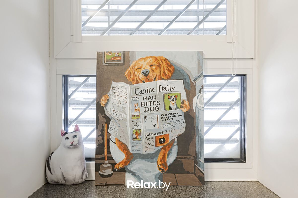 Интерьер Ветеринарная клиника «Компаньон» - фото 7876427