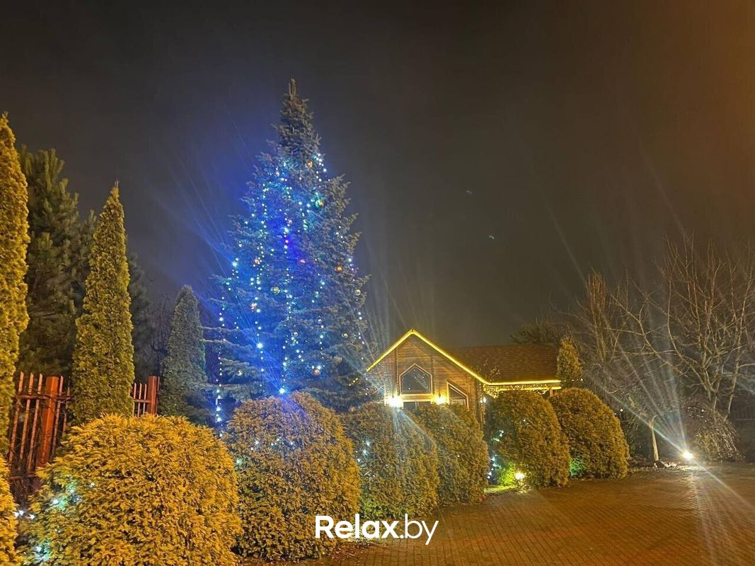 Интерьер Сауна люкс «VIP сауна на Явара и Калины» - фото 7873720