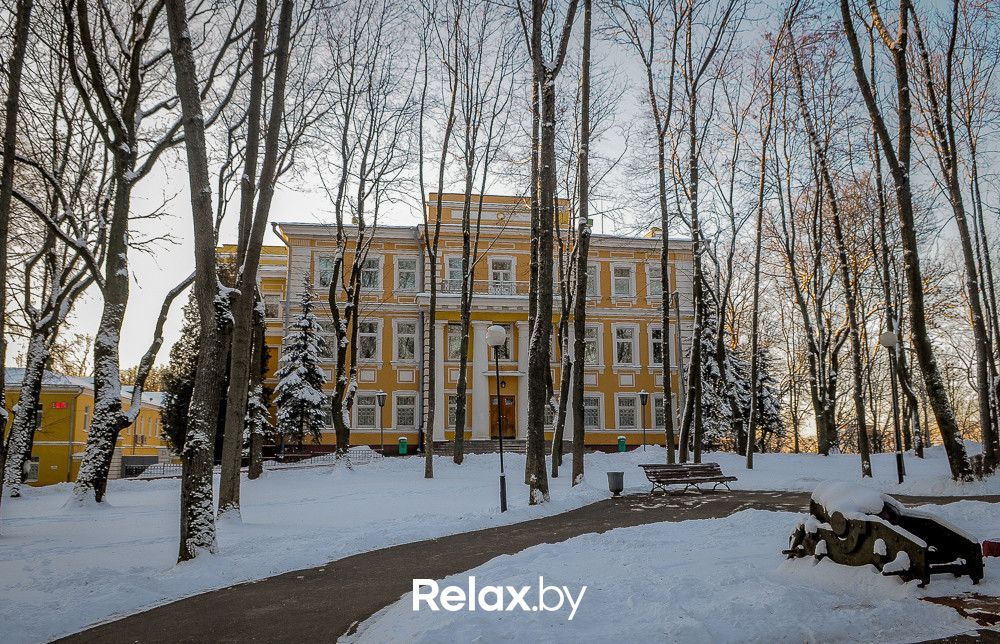 Дворец Достопримечательности «Губернаторский дворец» - фото 6214793