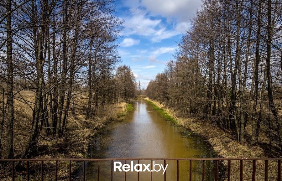 Пейзаж  Полесский радиационно-экологический заповедник - фото 6344333