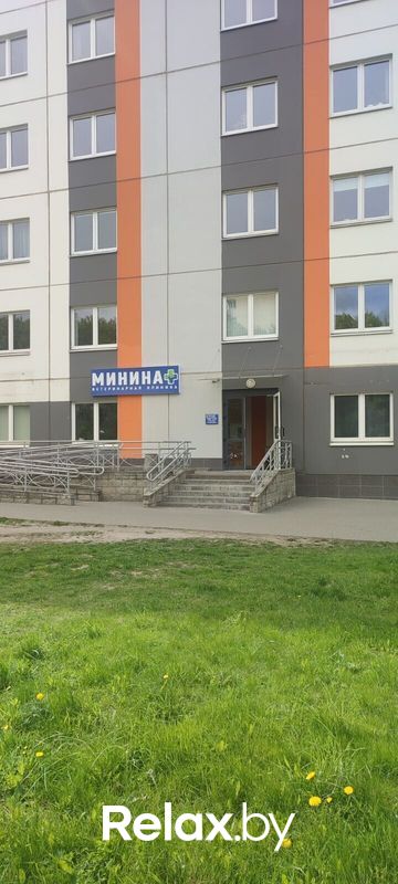 Галерея Ветеринарная клиника «Минина Плюс» - фото 7857463