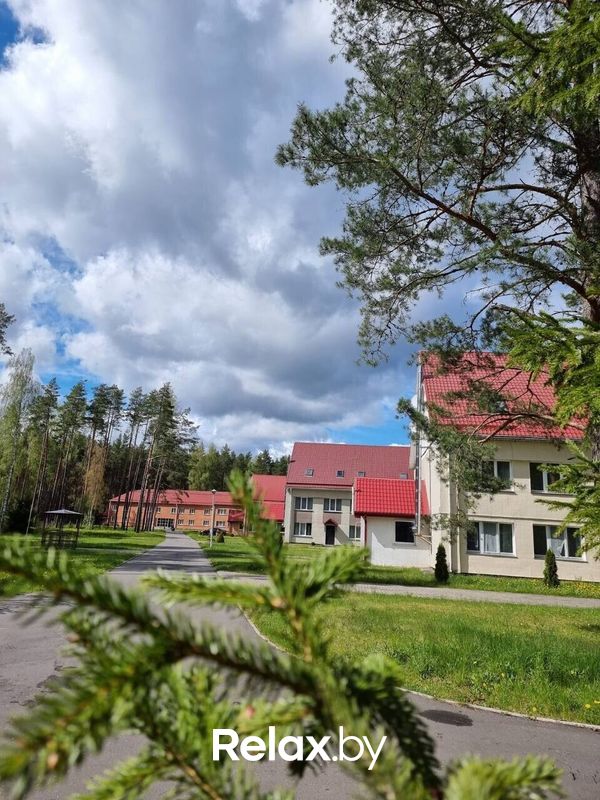 Территория Оздоровительный комплекс «Чайка» - фото 7731269