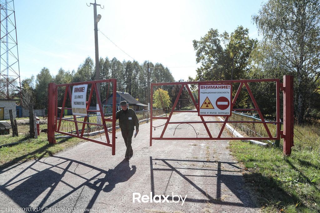 Пейзаж  Полесский радиационно-экологический заповедник - фото 6344363