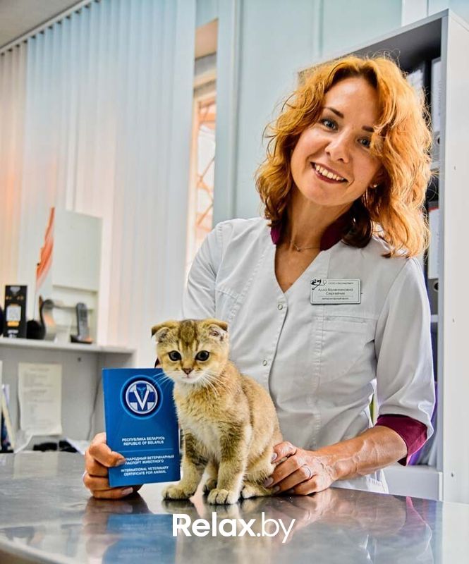 Галерея Ветеринарная клиника «ЭкспертВет» - фото 7781084