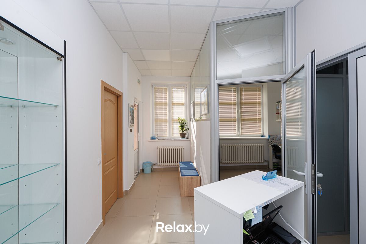 Галерея Ветеринарная клиника «NAN Animal Clinic (НАН Энимал Клиник)» - фото 7731402