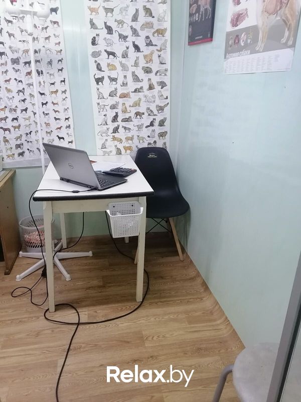 Галерея Ветеринарная клиника «СимбаВет» - фото 7852423