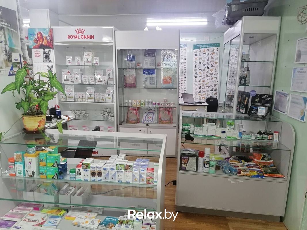 Галерея Ветеринарная клиника «СимбаВет» - фото 7852414