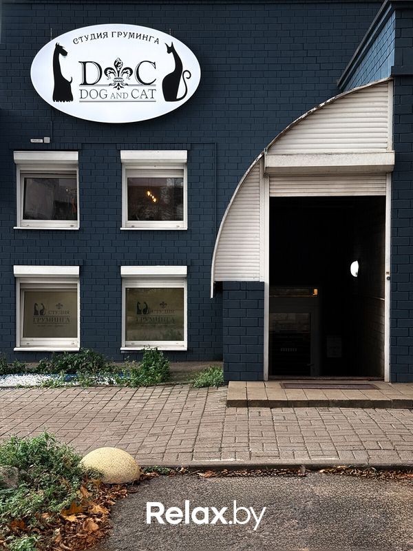 Галерея Студия груминга Dog and Cat (Дог энд Кэт) - фото 7866928
